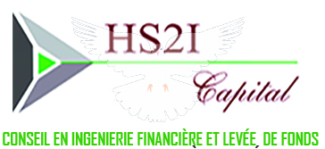 HS2I CAPITAL